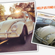Image for article titled Help Find Iris, This Man's Stolen Beetle